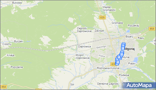 mapa Dąbrowica gmina Biłgoraj, Dąbrowica gmina Biłgoraj na mapie Targeo