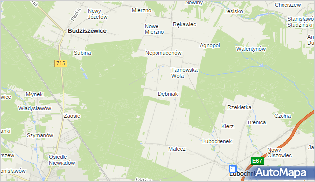 mapa Dębniak gmina Lubochnia, Dębniak gmina Lubochnia na mapie Targeo