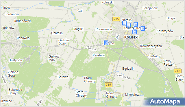 mapa Kaletnik gmina Koluszki, Kaletnik gmina Koluszki na mapie Targeo