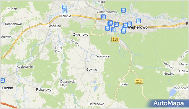 mapa Pętkowice gmina Wejherowo, Pętkowice gmina Wejherowo na mapie Targeo