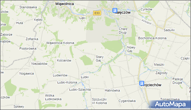 mapa Stary Gaj gmina Wojciechów, Stary Gaj gmina Wojciechów na mapie Targeo