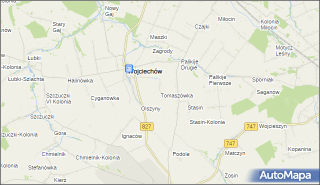 mapa Tomaszówka gmina Wojciechów, Tomaszówka gmina Wojciechów na mapie Targeo
