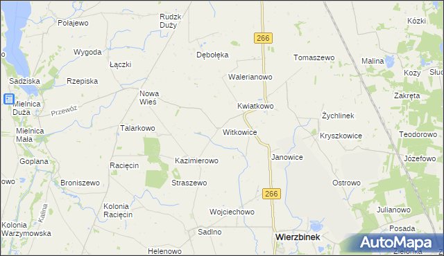 mapa Witkowice gmina Wierzbinek, Witkowice gmina Wierzbinek na mapie Targeo