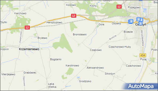 mapa Witoldowo gmina Gostyń, Witoldowo gmina Gostyń na mapie Targeo