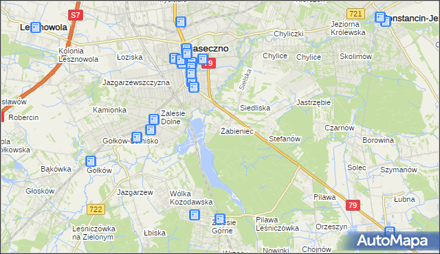 mapa Żabieniec gmina Piaseczno, Żabieniec gmina Piaseczno na mapie Targeo