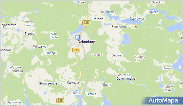 mapa Zarośle gmina Dziemiany, Zarośle gmina Dziemiany na mapie Targeo