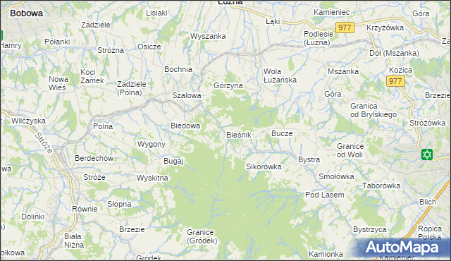 mapa Bieśnik gmina Łużna, Bieśnik gmina Łużna na mapie Targeo