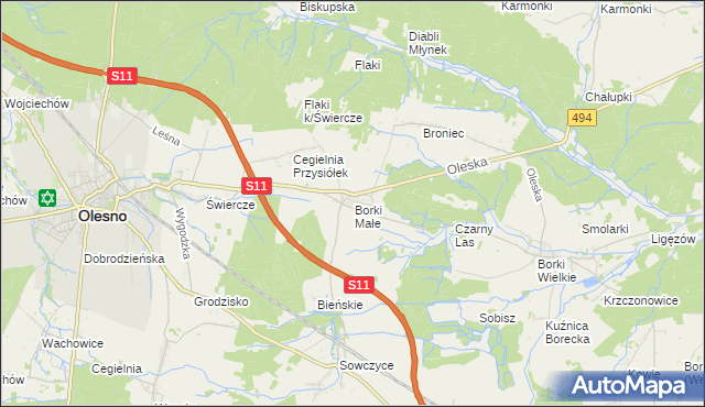 mapa Borki Małe gmina Olesno, Borki Małe gmina Olesno na mapie Targeo