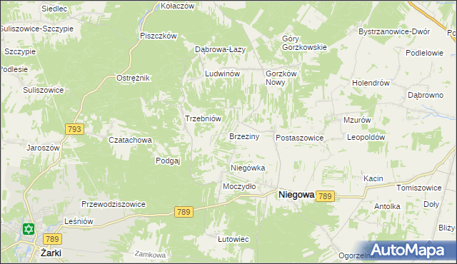 mapa Brzeziny gmina Niegowa, Brzeziny gmina Niegowa na mapie Targeo