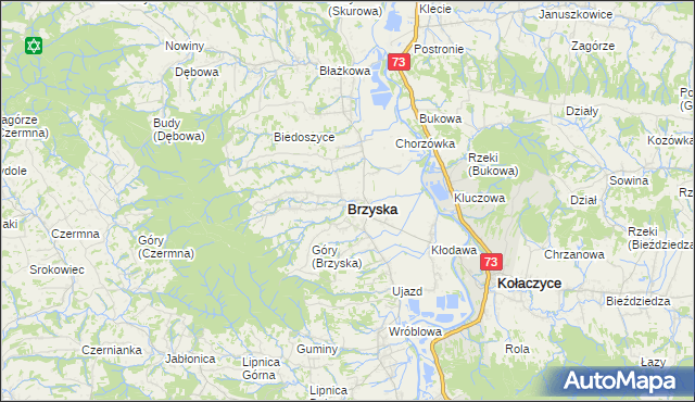mapa Brzyska, Brzyska na mapie Targeo