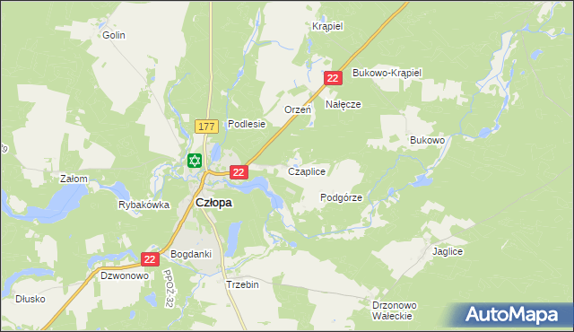 mapa Czaplice gmina Człopa, Czaplice gmina Człopa na mapie Targeo