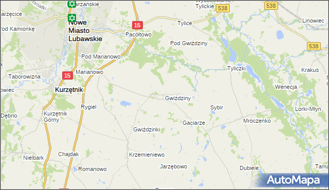 mapa Gwiździny gmina Nowe Miasto Lubawskie, Gwiździny gmina Nowe Miasto Lubawskie na mapie Targeo