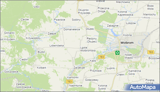 mapa Lgota Wolbromska, Lgota Wolbromska na mapie Targeo