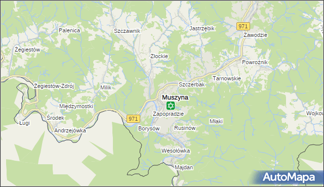 mapa Muszyna, Muszyna na mapie Targeo