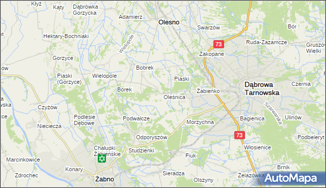 mapa Oleśnica gmina Olesno, Oleśnica gmina Olesno na mapie Targeo