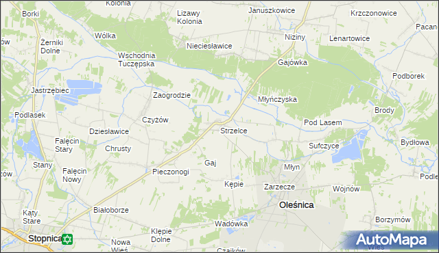 mapa Strzelce gmina Oleśnica, Strzelce gmina Oleśnica na mapie Targeo