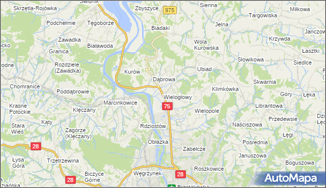 mapa Wielogłowy gmina Chełmiec, Wielogłowy gmina Chełmiec na mapie Targeo