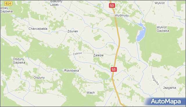 mapa Zalesie gmina Myszyniec, Zalesie gmina Myszyniec na mapie Targeo