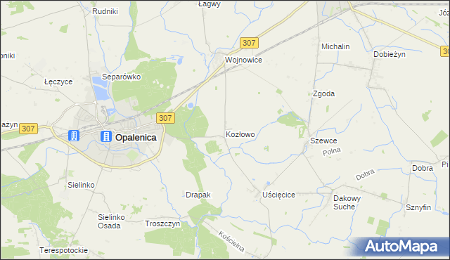 mapa Kozłowo gmina Opalenica, Kozłowo gmina Opalenica na mapie Targeo