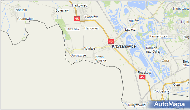 mapa Nowa Wioska gmina Krzyżanowice, Nowa Wioska gmina Krzyżanowice na mapie Targeo