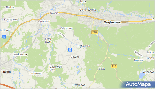 mapa Pętkowice gmina Wejherowo, Pętkowice gmina Wejherowo na mapie Targeo