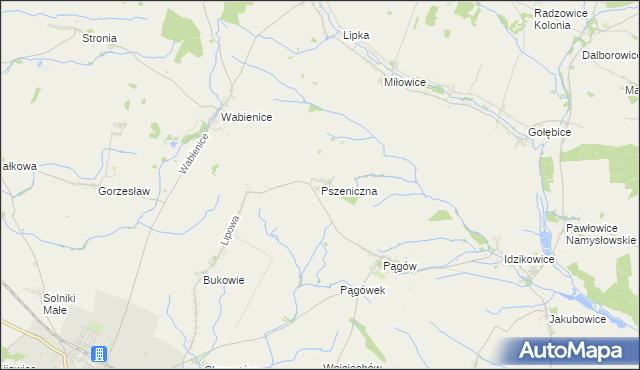 mapa Pszeniczna, Pszeniczna na mapie Targeo