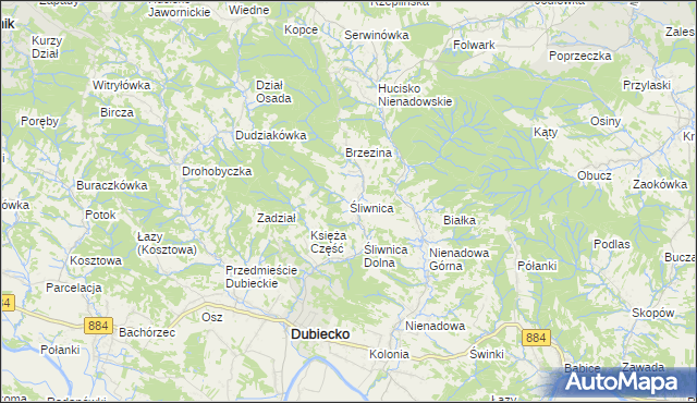 mapa Śliwnica gmina Dubiecko, Śliwnica gmina Dubiecko na mapie Targeo