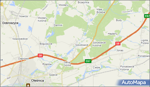 mapa Sokołowice gmina Oleśnica, Sokołowice gmina Oleśnica na mapie Targeo