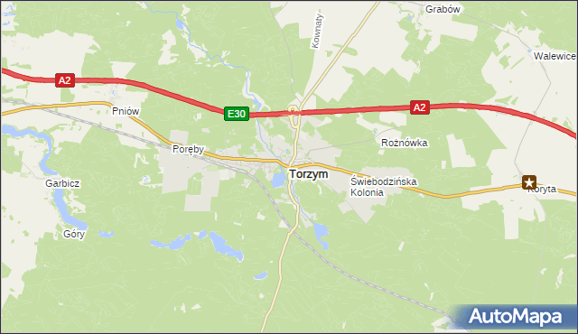 mapa Torzym, Torzym na mapie Targeo