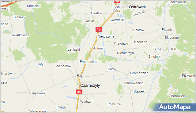 mapa Działy gmina Czarnożyły, Działy gmina Czarnożyły na mapie Targeo