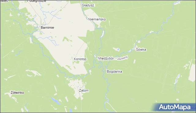 mapa Międzybór, Międzybór na mapie Targeo