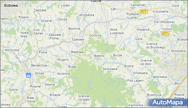 mapa Bieśnik gmina Łużna, Bieśnik gmina Łużna na mapie Targeo