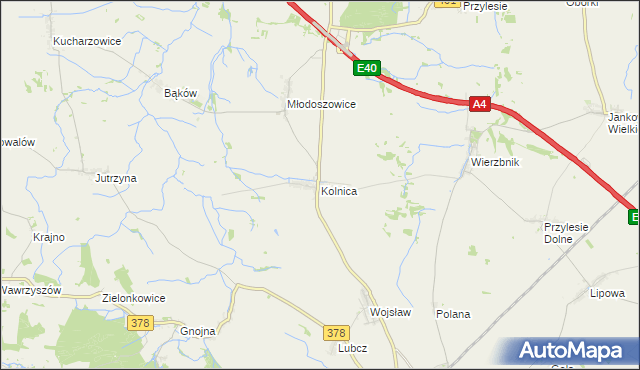 mapa Kolnica gmina Grodków, Kolnica gmina Grodków na mapie Targeo