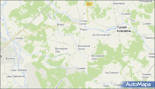 mapa Borowskie Skórki, Borowskie Skórki na mapie Targeo