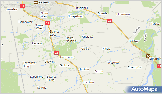 mapa Cieśle gmina Gołuchów, Cieśle gmina Gołuchów na mapie Targeo