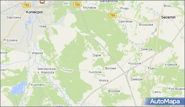 mapa Dąbie gmina Secemin, Dąbie gmina Secemin na mapie Targeo