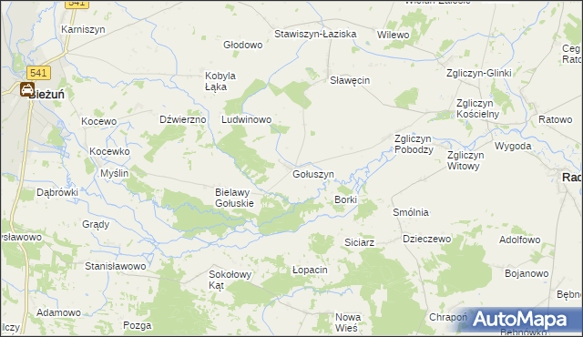 mapa Gołuszyn, Gołuszyn na mapie Targeo