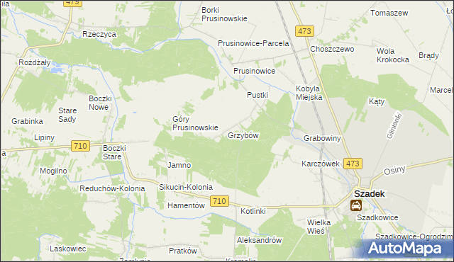 mapa Grzybów gmina Szadek, Grzybów gmina Szadek na mapie Targeo