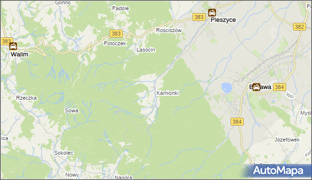 mapa Kamionki gmina Pieszyce, Kamionki gmina Pieszyce na mapie Targeo