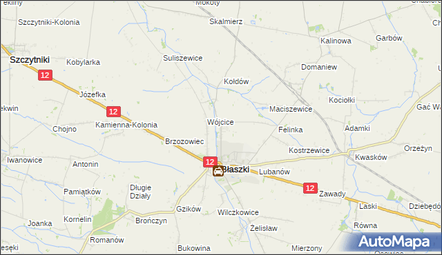 mapa Kokoszki gmina Błaszki, Kokoszki gmina Błaszki na mapie Targeo