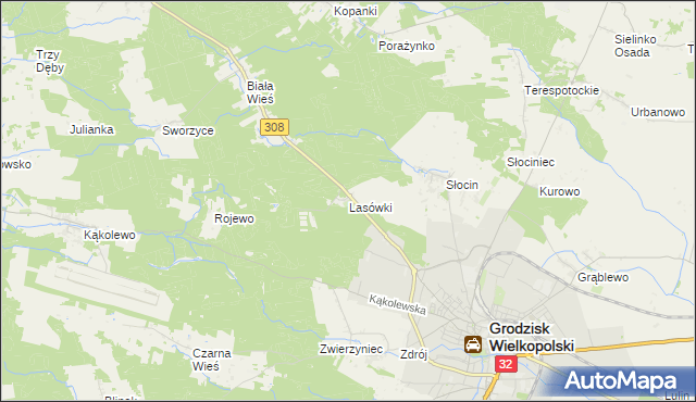 mapa Lasówki gmina Grodzisk Wielkopolski, Lasówki gmina Grodzisk Wielkopolski na mapie Targeo