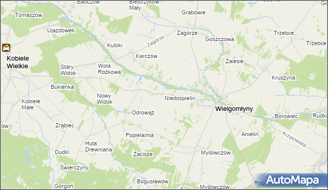 mapa Niedośpielin, Niedośpielin na mapie Targeo