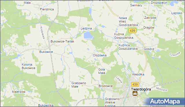 mapa Olszówka gmina Twardogóra, Olszówka gmina Twardogóra na mapie Targeo
