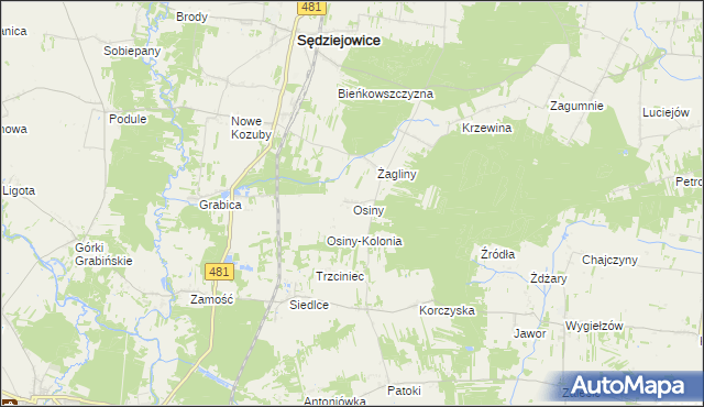 mapa Osiny gmina Sędziejowice, Osiny gmina Sędziejowice na mapie Targeo