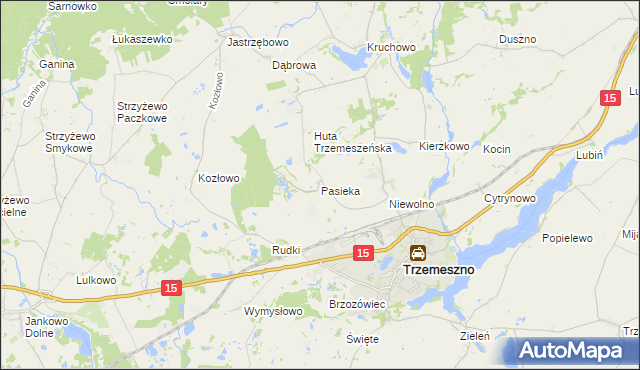 mapa Pasieka gmina Trzemeszno, Pasieka gmina Trzemeszno na mapie Targeo