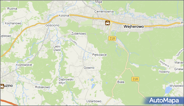 mapa Pętkowice gmina Wejherowo, Pętkowice gmina Wejherowo na mapie Targeo