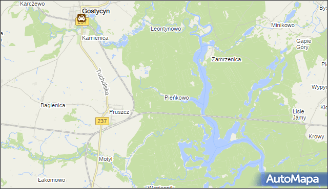 mapa Pieńkowo gmina Gostycyn, Pieńkowo gmina Gostycyn na mapie Targeo