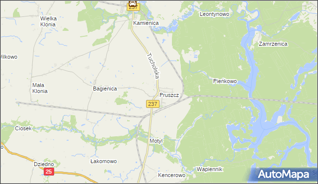mapa Pruszcz gmina Gostycyn, Pruszcz gmina Gostycyn na mapie Targeo
