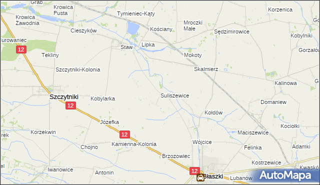 mapa Suliszewice gmina Błaszki, Suliszewice gmina Błaszki na mapie Targeo