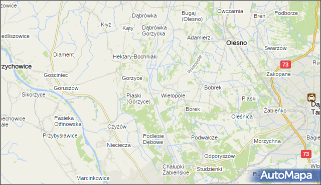 mapa Wielopole gmina Olesno, Wielopole gmina Olesno na mapie Targeo